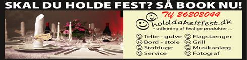 Hold da helt fest. Alt til festen, musik, telte, grill, fotograf og meget mere.