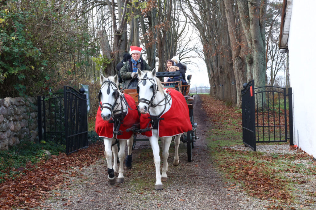Hest og vorg til julemarked på svinningegård